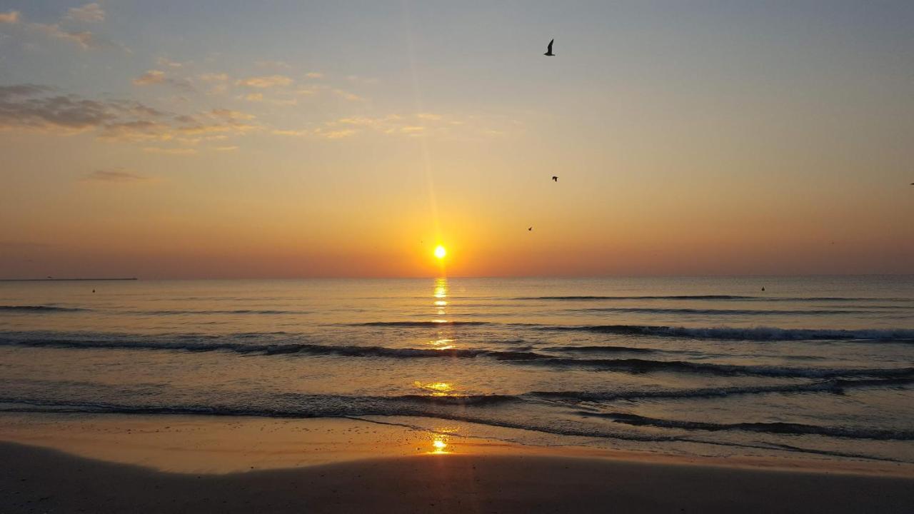Sea North Apartament Mamaia Bagian luar foto